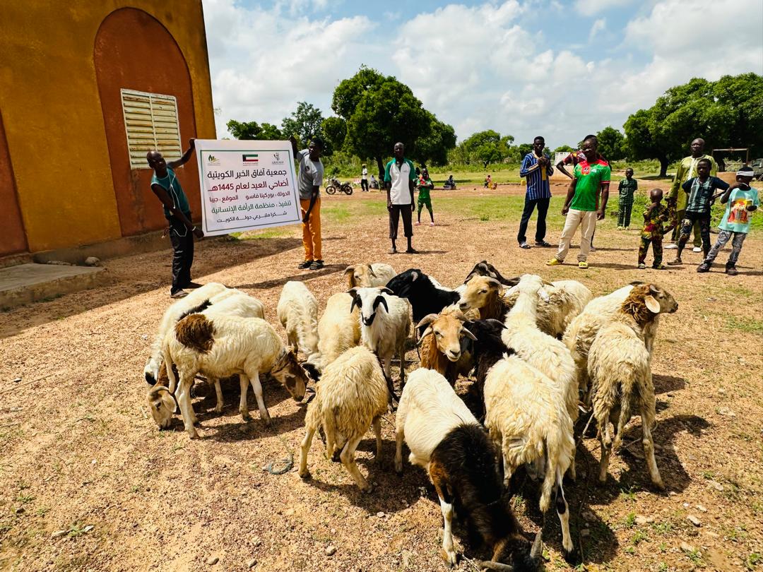 الاضاحي - بوركينافاسو
